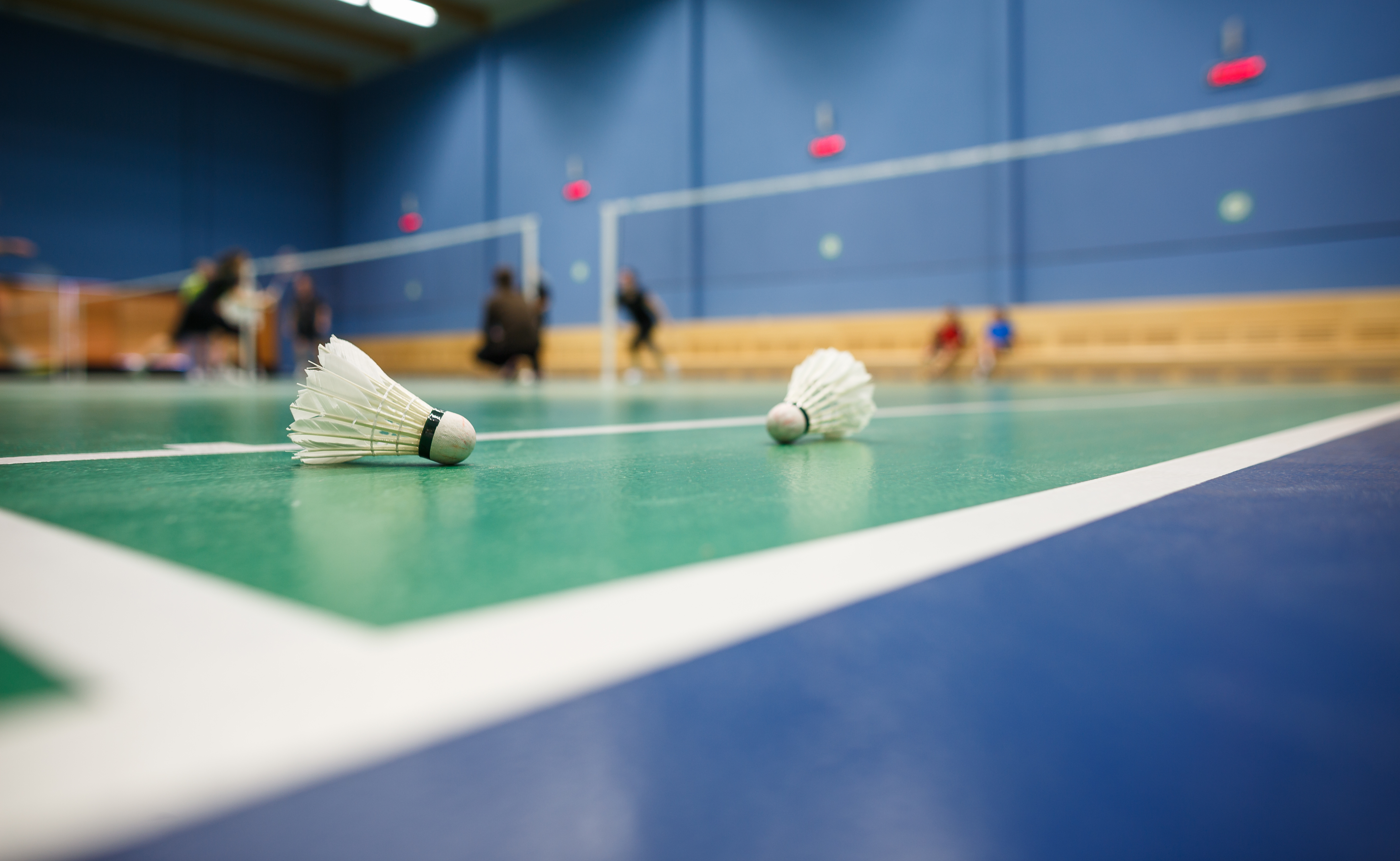 Badminton players